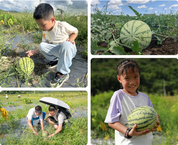 趣游盛夏，一路童行—2024年廣東博皓親子游   -12